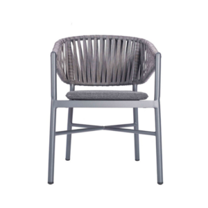 Front Profile image of the Carlotta Side Chair