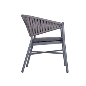 Side Profile image of the Carlotta Side Chair