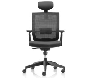 Director Office Chairs