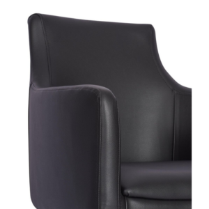 Hallie Upholstered Arm Chair