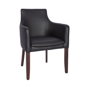 Hallie Upholstered Arm Chair