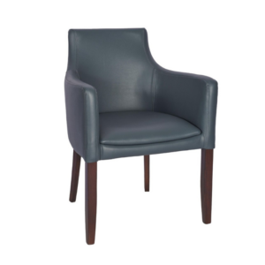 Hallie Upholstered Arm Chair