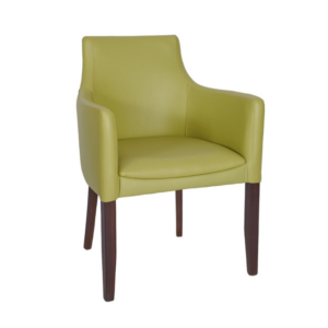 Hallie Upholstered Arm Chair