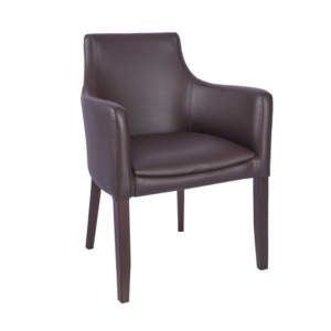 Hallie Upholstered Arm Chair