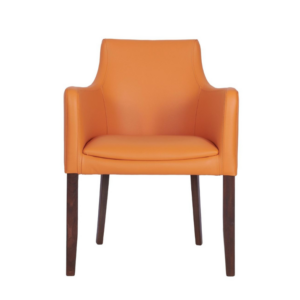 Hallie Upholstered Arm Chair