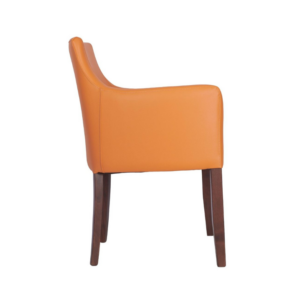 Hallie Upholstered Arm Chair