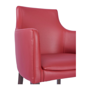 Hallie Upholstered Arm Chair