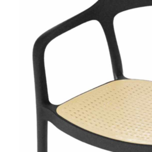 Polypropylene Outdoor Chair with faux cane seat pad