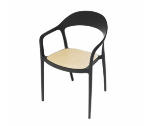 Polypropylene Outdoor Chair with faux cane seat pad