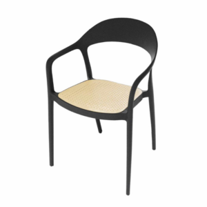 Polypropylene Outdoor Chair with faux cane seat pad