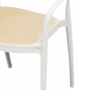 Polypropylene Outdoor Chair with faux cane seat pad