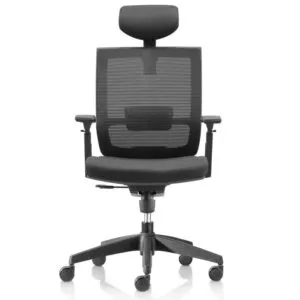 Director Office Chairs