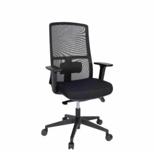Executive Office Chairs