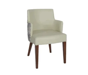 Bari Lounge Chair